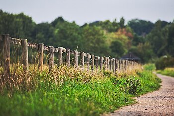 Natur in Bremen