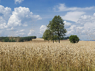 Wirtschaft Polen