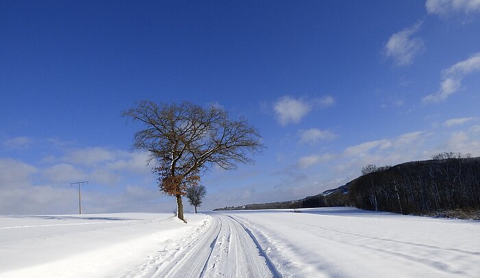 Winter in Luxemburg