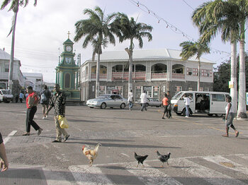 Einwohner von St. Kitts