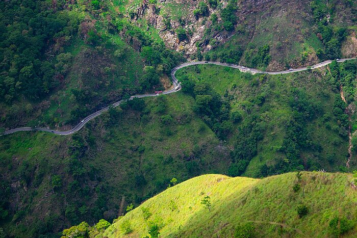 Straße durch grüne Landschaft in Taiwan