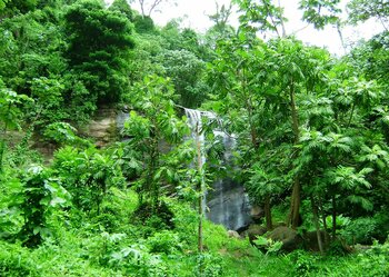 Mount Carmel Wasserfall, Grenada