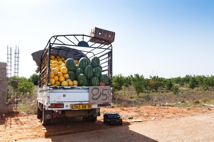 Obstverkauf am Straßenrand in Algerien