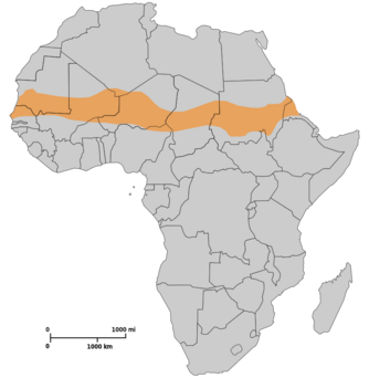 Lage der Sahelzone in Afrika