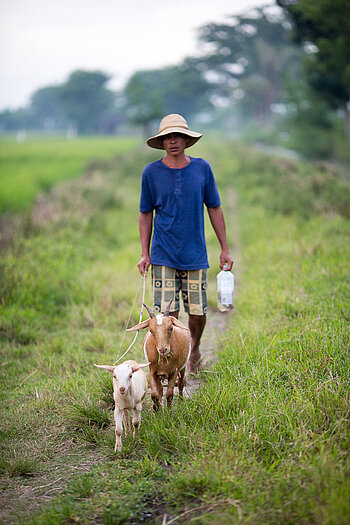 Mann, Landwirtschaft, Philippinen