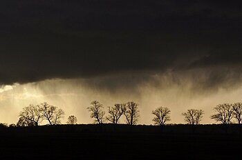 Gewitter in der Lewitz