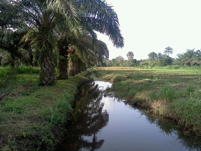 Landschaft in Guinea