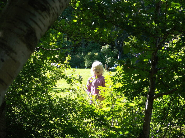 Kleine Isländerin im Botanischen Garten