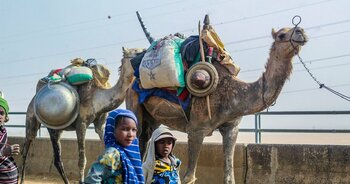 Kinder in Nigeria mit Kamel