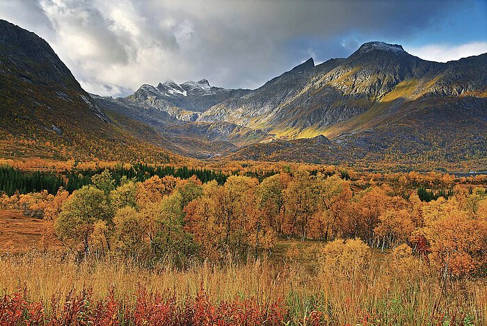 Herbst auf der Insel Hinnøya