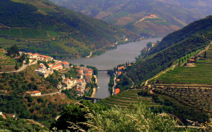 Alto Douro