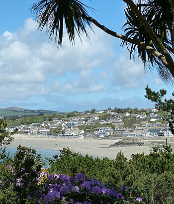 Palmen in Cornwall