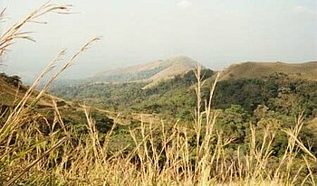 Landschaft am Mont Nimba