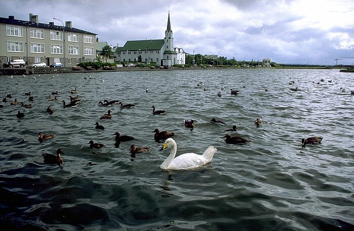 Tjörnin in Reykjavik