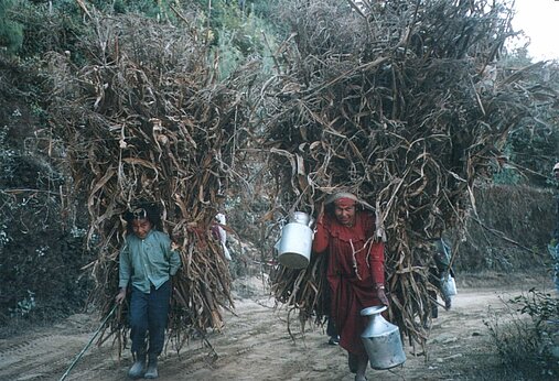 Kinderarbeit, Nepal