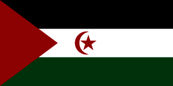 Flagge Demokratische Arabische Republik Sahara