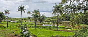 Landschaft in Gambia