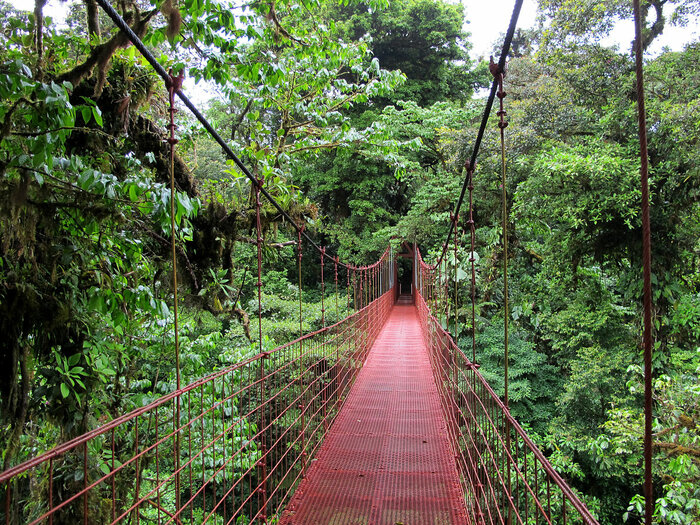 Hängebrücke in Costa Rica