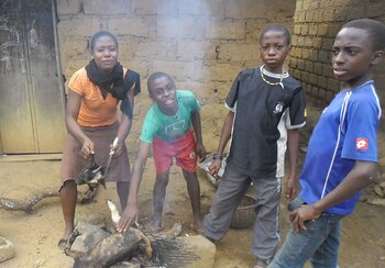Volksgruppe in Kamerun: Bamileke
