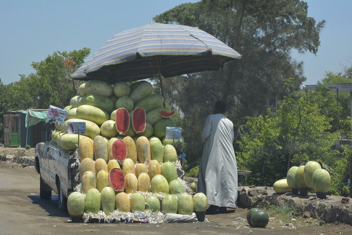 Melonenverkäufer in Ägypten