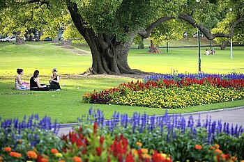 Picknick, Sydney, Australien