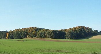 Mecklenburgische Schweiz am Malchiner See