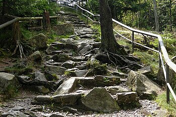 Harz Blockhalde