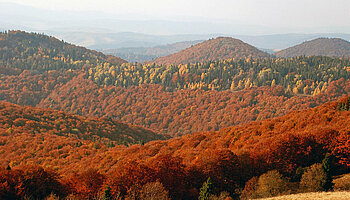 Herbst in der Ukraine