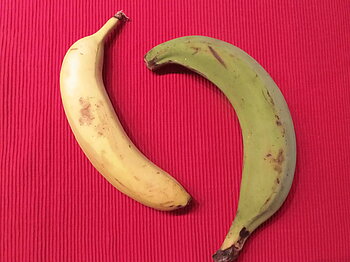 Kochbanane (Plantain) und Desertbanane