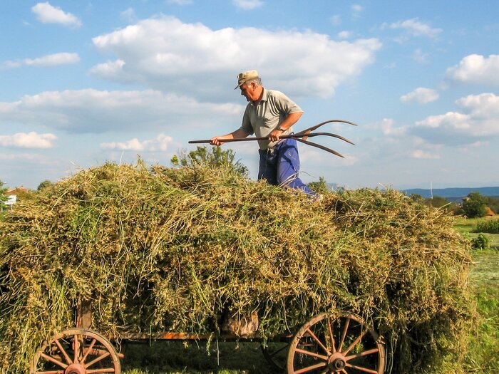 Landarbeit in Bulgarien