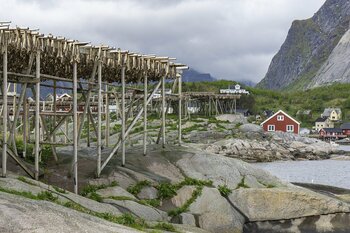 Norwegen Stockfisch