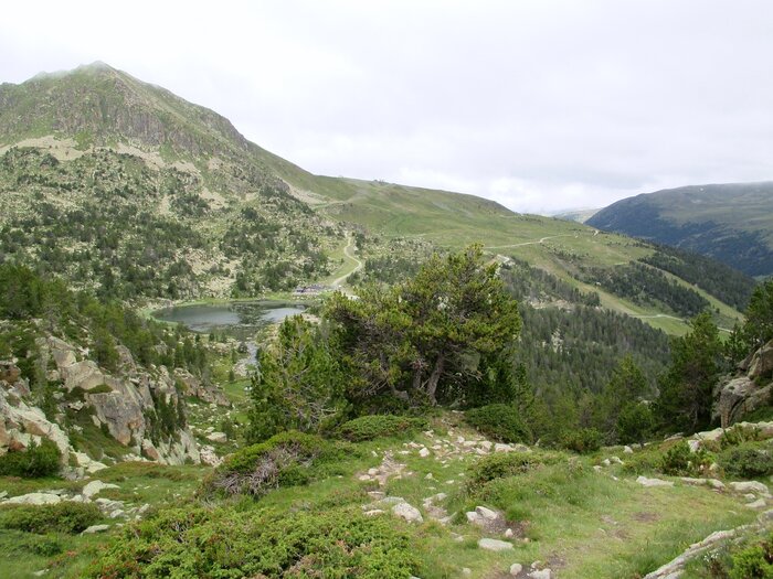 Grüne Berge und Wiesen in Andorra