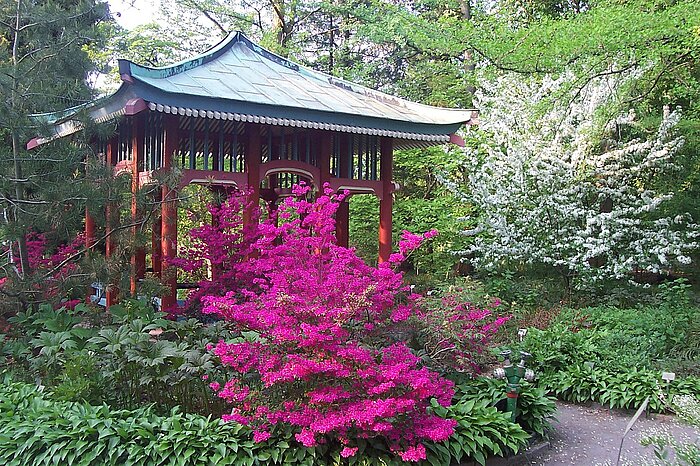 Botanischer Garten Berlin