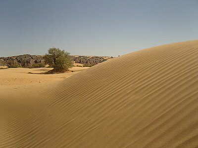 Algerien Land