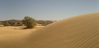 Sahara in Algerien Wüste in Algerien