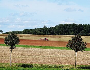 Ackerland Sachsen Anhalt