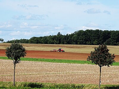 Wirtschaft Sachsen-Anhalt