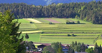 Landwirtschaft in Österreich
