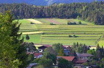 Österreich: Landwirtschaft - Felder mit Getreide Landwirtschaft in Österreich