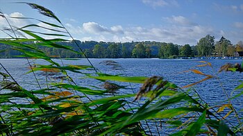 Natur Schleswig-Holstein