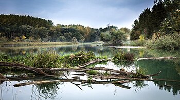 Donau in der Slowakei