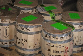 Blue Mountain Kaffee