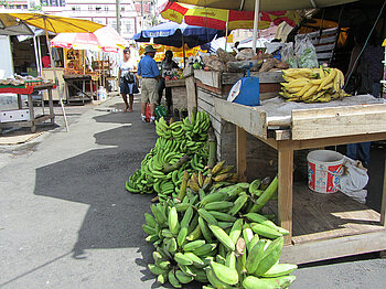 Grenada Landwirtschaft Markt in St. George's, Grenada