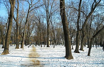 Moldawien im Winter
