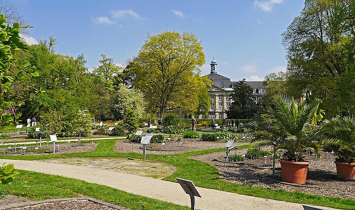 Münster Schlossgarten