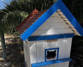 Katzenhäuschen in Portugal