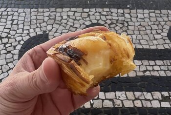 Portugiesische Kuchen Portugal Kuchen