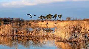 Sachsen-Anhalt Landschaften