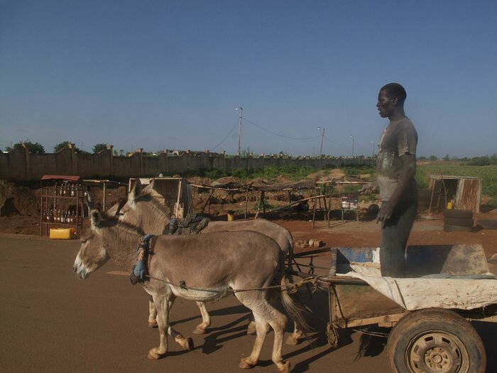 Eselkarren im Norden von Togo