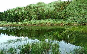 See im Yangmingshan-Nationalpark